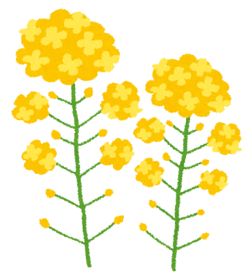 探せ
